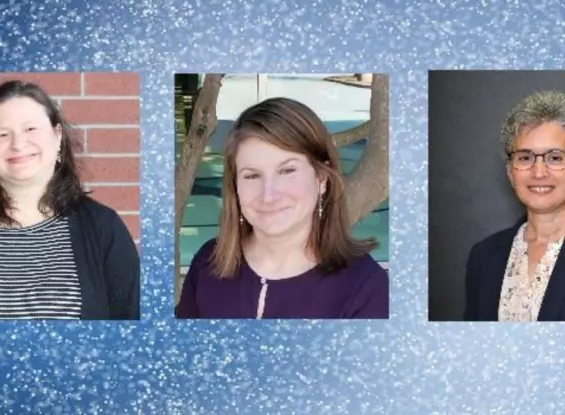 irma teacher of the year finalists